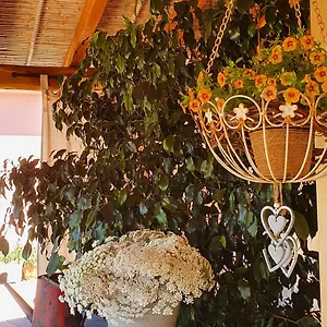 https://bb-la-vela-chia.in-sardinia.net