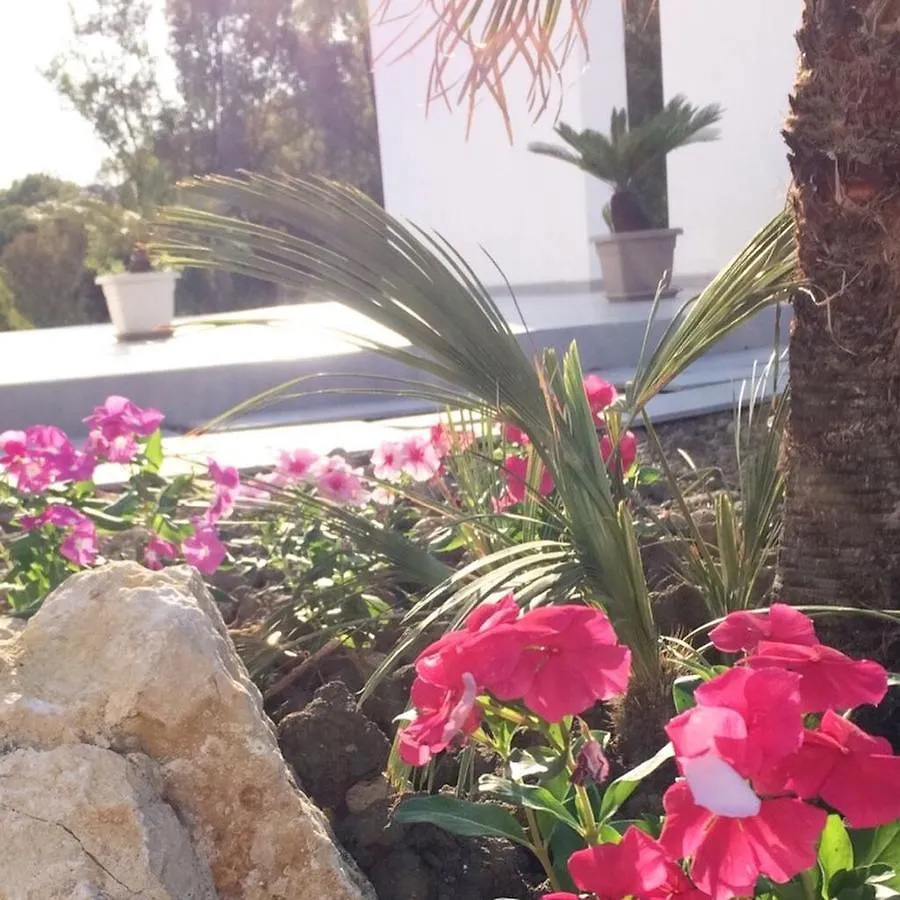 B&B Sorahnia - Design House Agrigento 3*,